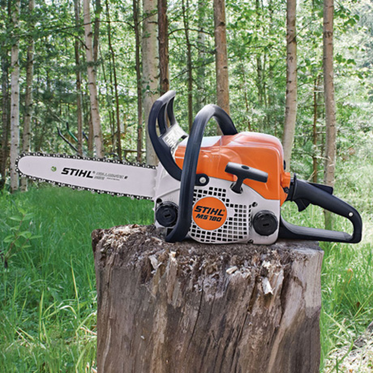 https://www.reiter-freising.de/media/a2/a5/58/1646058195/36224-1_Stihl_11302000500.jpg